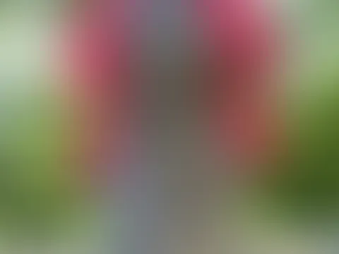 In der Natur ausziehen. Was gibt es schöneres? 🤭🫶🏻