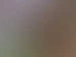 Mein neuer Bikini ist so frech wie ich und genau so knapp 🤪bist du bereit ?👙☀️ VORSICHT 🤪💯💥 das neue Album bringt dein Puls zum Rasen und mein Bikini zum rutschen 😎🫶🏽 willst du mit mir spielen