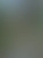 Immer für Blödsinn zu haben