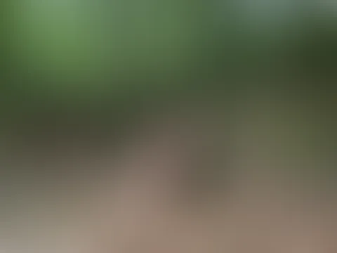 Ich glaube ich hab mich im Wald verlaufen😜
