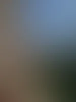 Na, wie findet ihr den Ausblick ? 🍑💦
