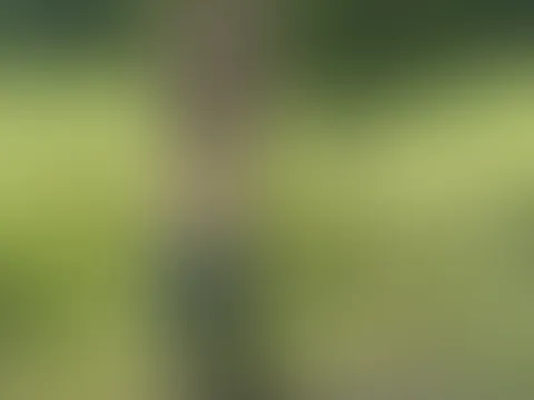 🥵spontaner Outdoor-Doggy F**k 💦