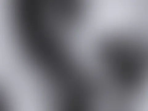 đ
