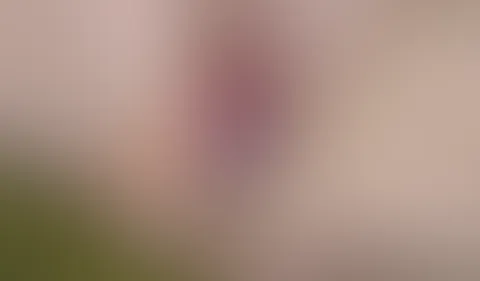 Mein Neuer Dildo