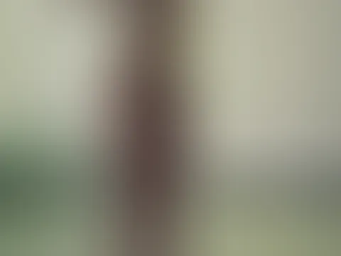 Ich zeig mich dir teil 2