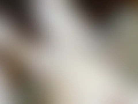 Spontane Fotos ;)