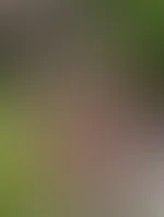 Sexy Outdoor pics ðŸ¤ðŸ˜‡