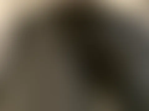 đ