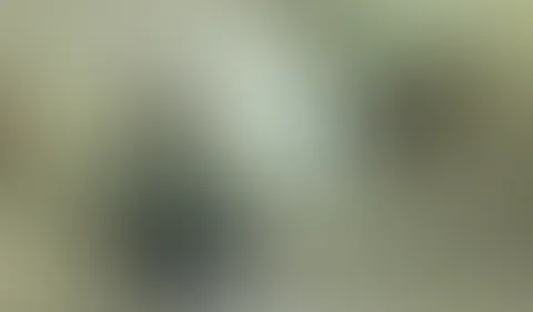 Blowjob Quickie beim Fotoshoot! Quick and Dirty. So muss es auch mal gehen. Schon beim shooten für die Social Media Bilder merkte ich, dass mein Fotograf und Kameramann mal wieder einen Ständer in de