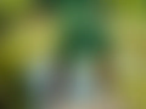 Ich liebe Outdoor-Spass. Kannst du dir vorstellen was nach diesem Foto passiert ist…?