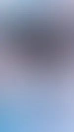 Einen wunderhübschen Start in die neue Woche gewünscht 🖤🩶