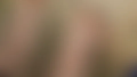 What do you think of the dresses?