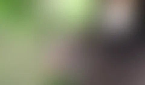 OMG!! VOM SPANNER IM WALD GEF**KT!!! Da mache ich gerade ein kleines Pauschen vom Spaziergang im Wald und Spiel mir an meiner P***y... kommt ein Spanner um die Ecke und schiebt mir seinen S*****z in