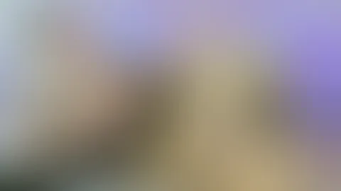 AB IN MEINE CAM