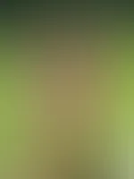Na wer kommt zu mir in die Sonne