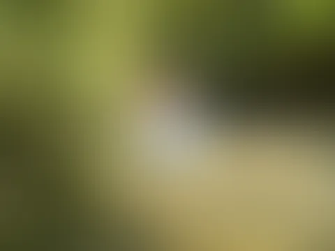 Ich hatte am Montag ziemlich geile Action auf nem Paddelboot. Folgt bald mehr 🔥