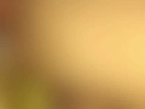 Meine Heiße Ex