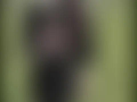 Haha, wie in der Kindheit 😄 Ich renne herum, springe, freue mich über Kleinigkeiten und fühle mich so glücklich.