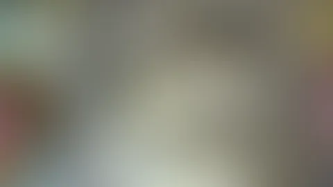 Ich zeige meiner Katze die Blumen – und sie guckt so ernst, als würde sie überlegen, ob sie es wert sind, neben uns zu stehen.