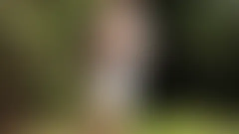 A walk in the woods 🌳