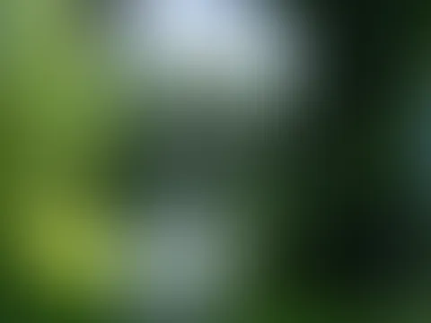 Hattest du schonmal Spaß im Wald?😍😈