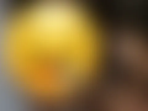 Hand-, Blowjob + c*****t