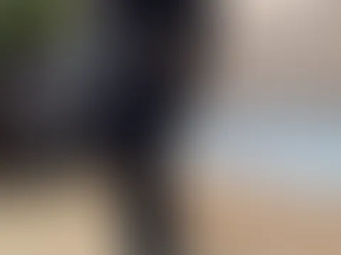 ❤️Heels Präsentation❤️