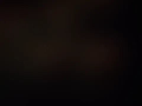 F**kgesicht !