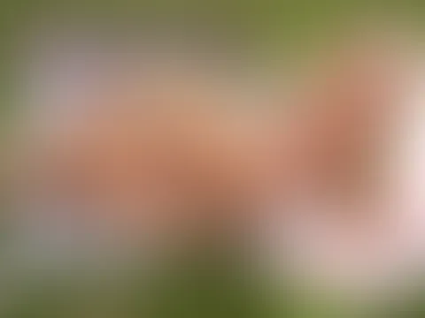 Mitten im Freibad gef**kt