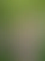Tittwoch ( . )( . ) Welches davon gefällt dir mehr? Meine FRONT BOOBS oder SIDE BOOBS? - Für meine FEED Abonnenten GRATIS 💝