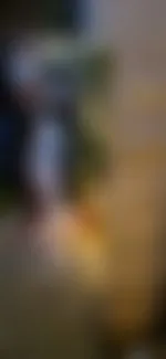 Besinnliche Feiertage bei der Familie 😱