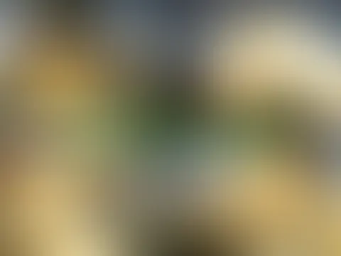Heute steck ich mir geiles grünes Gemüse namens Zucchine in meine geile F***e 🤭
