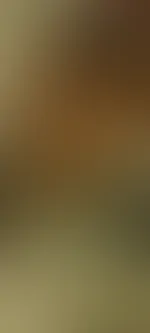 Handtuch weg ,Hanni und Nanni sind da