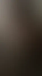 đ