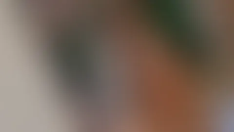 😜🍑