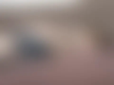 Geil gef**kt und ich schlucke das S****a auf dem Gesicht!