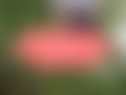 Voyeur heimlich gefilmt beim p*****n