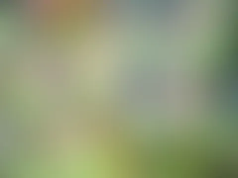 Ahh sie sind alle toll đđ