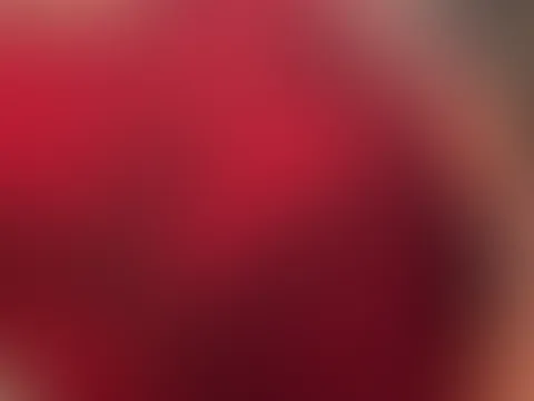 Ich liebe möpse und du ? 🤪