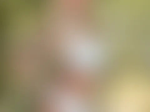 Hier wären wir doch gut versteckt für den Anfang 😎🥵
