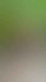 Bald ist weihnachten