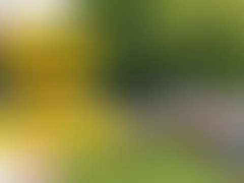 FREMDF**K im Urlaub! Poolboy f**kt mich mit Riesenschwanz!