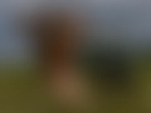 Mein erstes erotisches Fotoshooting
