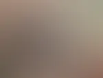 Der kleine schwarze ist heute dran