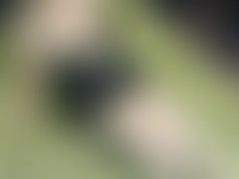 Schöne Füße 👣
