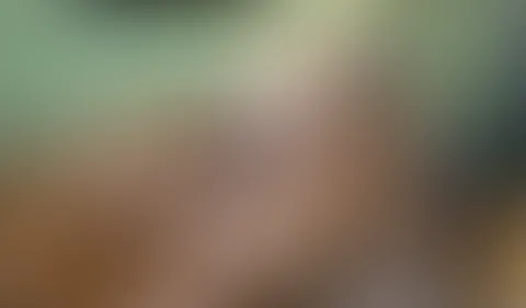 Im sexy Outfit mit den F****r selber besorgt und natürlich dabei einen User S*****z gelutscht 😜