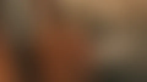 💋💋💋💋