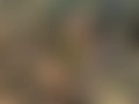 Feuchter Quickie im Wald mit heiĂen Closeups đ