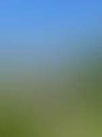 Grüße vom Rhein