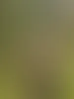 Freiheit den Titten im Wald oder? 😜 Lasst die 2 mal gute Luft atmen 😁